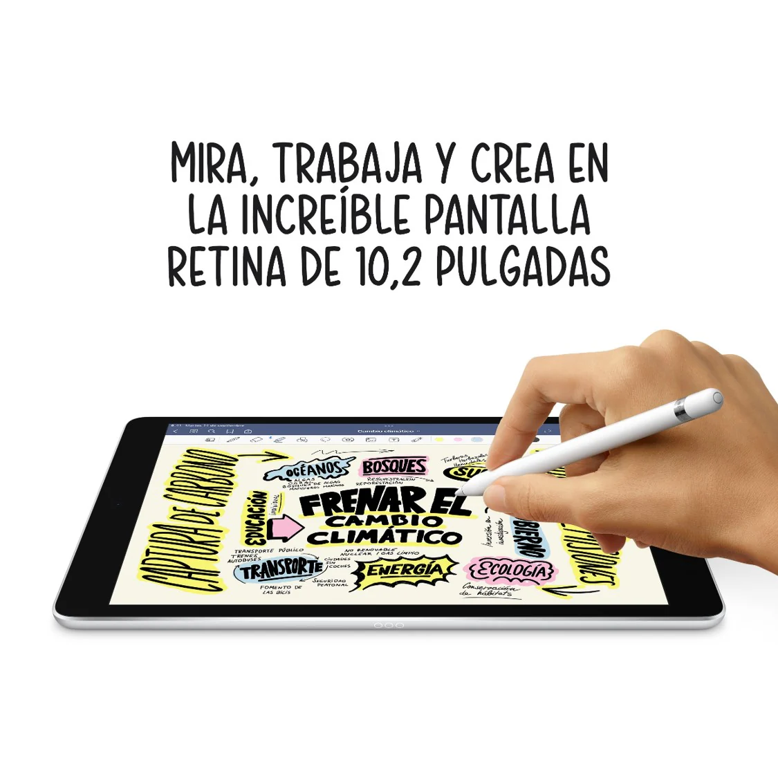 Imagen del producto 6